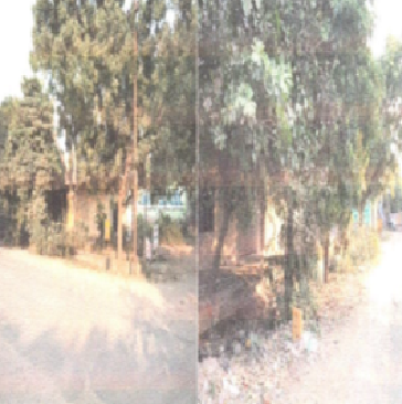 Smt Madhu Tiwari, Uttar Pradesh